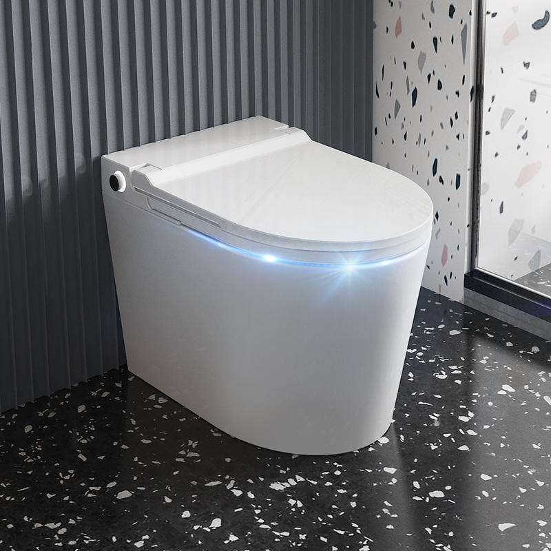 Telamon White Smart Bidet Intelligent Closestool