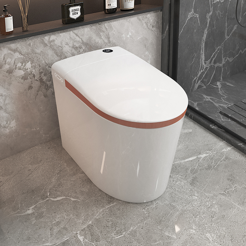 Tiresias White Smart Bidet Intelligent Closestool